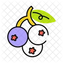 Blueberries  Icon