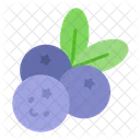 Blueberry Berry Fruit Icon
