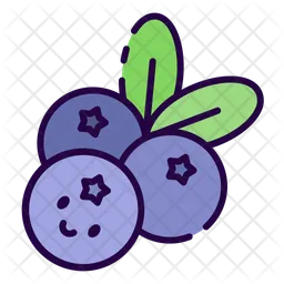 Blueberry  Icon