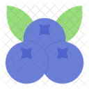 Blueberry  Icon