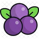 Blueberry Berries Diet Icon