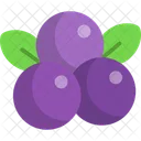 Blueberry Berries Fruit Icon