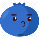 Blueberry Icon