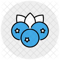 Blueberry  Icon