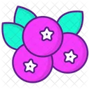 Blueberry  Icon