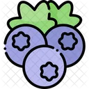 Blueberry Fruit Healthy Food Icon