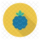 Blueberry Fruit Eat Icon
