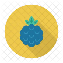 Blueberry  Icon