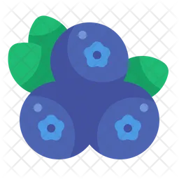 Blueberry  Icon