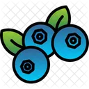 Blueberry Bilberry Swamp Icon