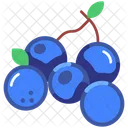Blueberry Blueberries Berry Icon