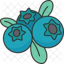 Blueberry Berry Diet Icon