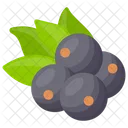 Blueberry Berry Berries Icon