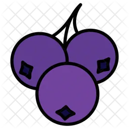 Blueberry  Icon