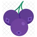 Blueberry Fruit Healthy Icon