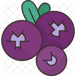 Blueberry  Icon