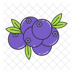 Blueberry  Icon