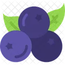 Blueberry Fruit Food Icon