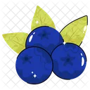Blueberry  Icon