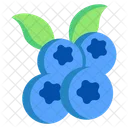 Blueberry Fruit Food Icon
