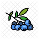 Blueberry Branch  Icon