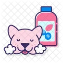 Blueberry Facial  Icon