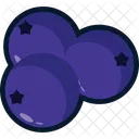 Blueberry Fruit  Icon