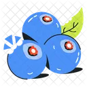 Cyanococcus Blueberry Fruit Fruit Icon