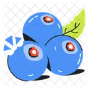 Blueberry Fruit  Icon