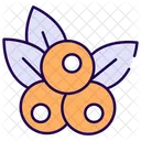 Blueberry Icon