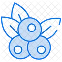 Blueberry Blackberry Fruit Icon