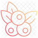 Blueberry  Icon