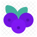 Blueberry Blueberries Fruit Icon