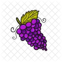 Blueberry Icon