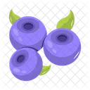 Blueberry  Icon