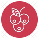 Blueberry  Icon