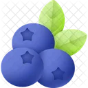 Blueberry Fruit Food Icon
