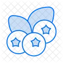 Blueberry  Icon