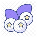 Blueberry  Icon