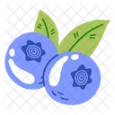 Blueberry  Icon