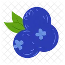 Blueberry Vaccinium Myrtillus Whortleberry Icon