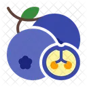 Blueberry  Icon