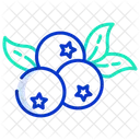 Blueberry  Icon
