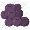 Blueberry  Icon