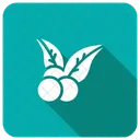 Blueberry  Icon