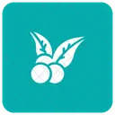 Blueberry  Icon