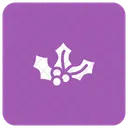 Blueberry  Icon