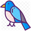 Bluebird Ecology Nature Icon