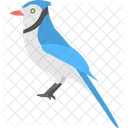 Bluebird  Icon