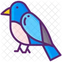Bluebird Bird Animal Icon